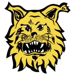 埃爾維斯B隊(duì)